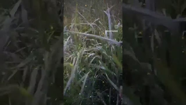 день був як квест,але добре що маю звичку,бачити все добре у всьому,та фоткать по  дорозі, то все о