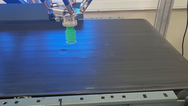 2024-06-14 отбраковка сушеные овощи роботом