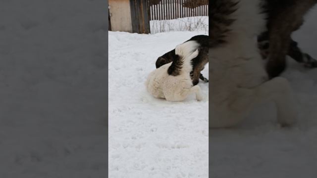 1000041041.mp4