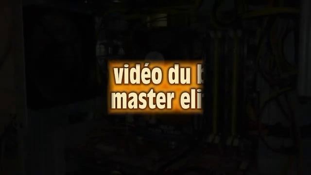 elite 334