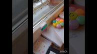 мой выходной день с Китти