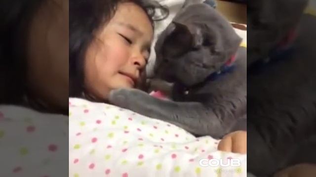 Кот и девочка