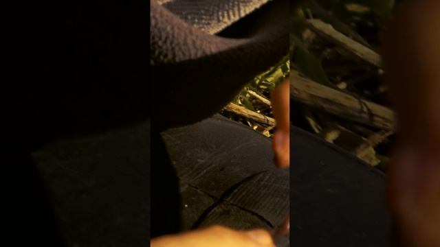 Главное насадить червя
