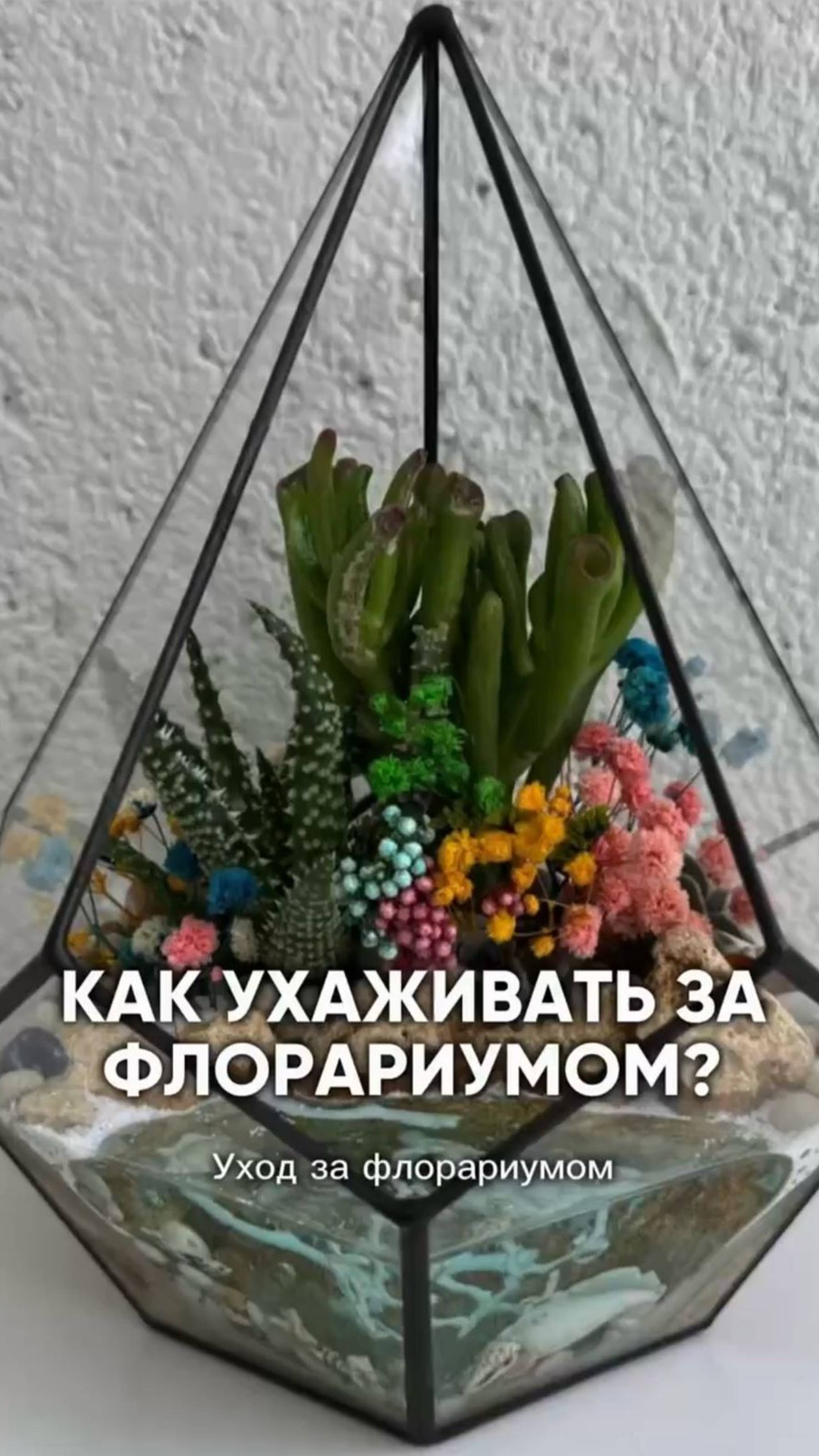 "Matilda&K". Уход за флорариумом