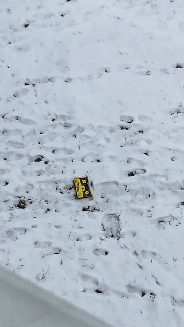 Чп
