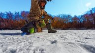 КИВКИ ГНУТЬСЯ БЕЗ ОСТАНОВКИ! РЫБАЛКА в МАРТЕ НА МОРМЫШКУ