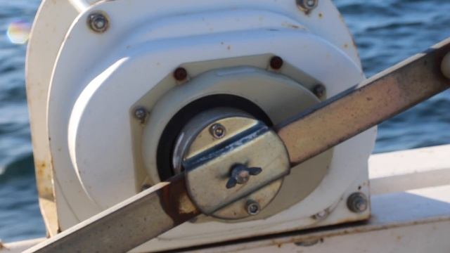 Close Up: The Wolfe Islander III