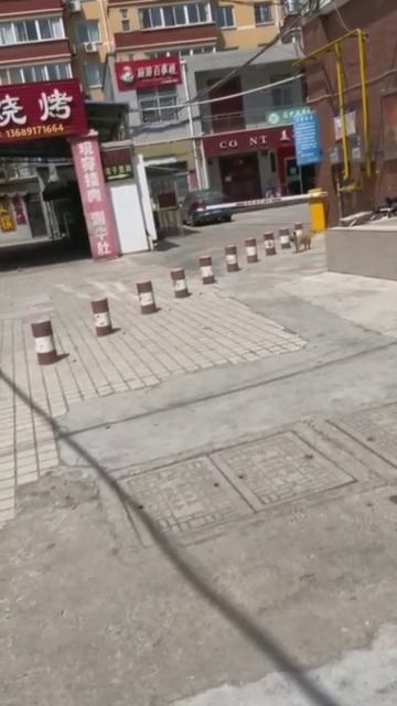Собачка по столбикам
