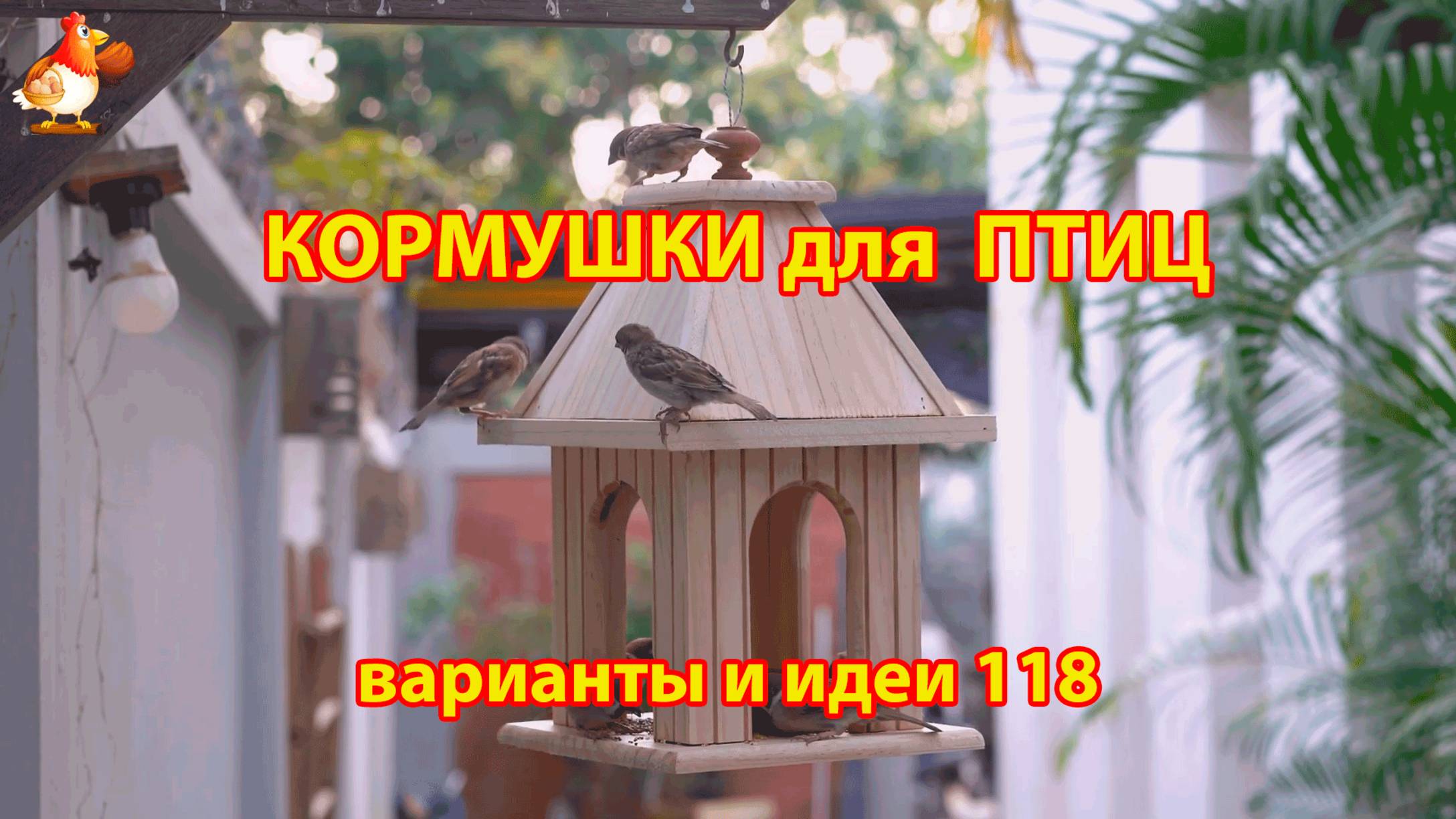 Кормушка для птиц своими руками как сделать пошагово  (118) 🪚🪛🔨 Идеи для дачи и сада❣️