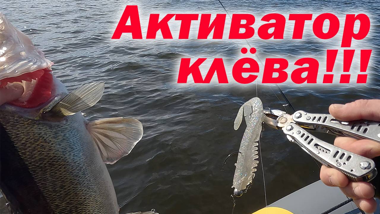 ЕСЛИ НИ НА ЧТО НЕ КЛЮЕТ, СТАВИМ ЭТУ ПРИМАНКУ!!!
