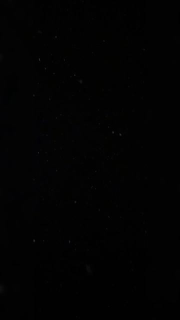 «Как часто вы выходите гулять?» 
18-03-2025
