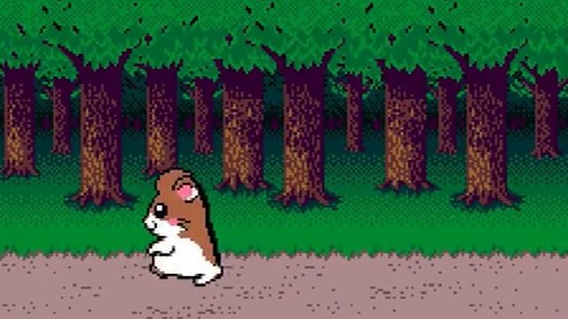 WSC - Dokodemo Hamster 3 - Odekake Saffron
