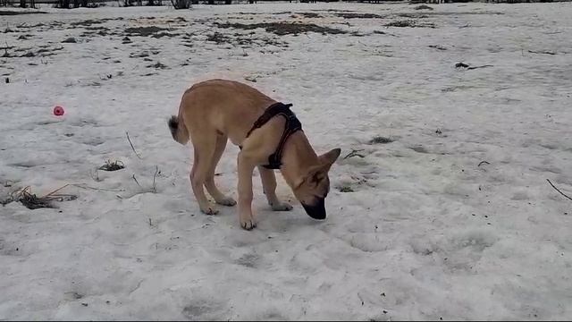 1000002788.mp4