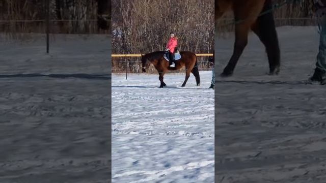 Где мой актииив?!