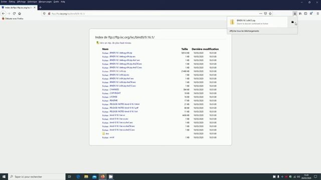 Comment installer DIG sous WINDOWS 10    ⛏