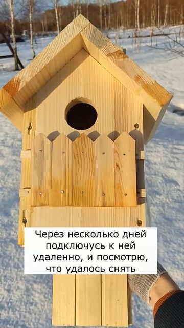 Повесили скворечник с видео камерой внутри #shorts