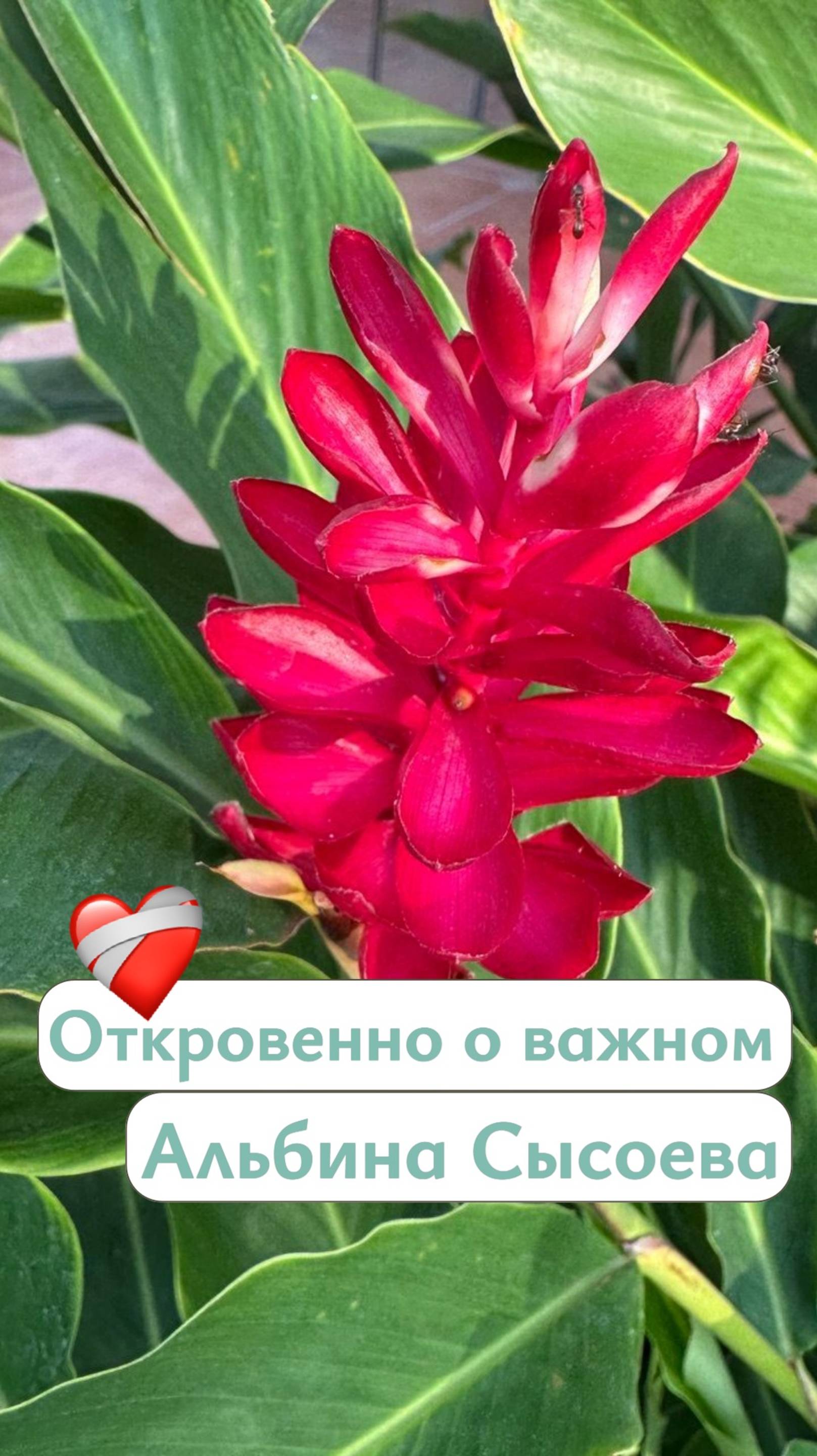 Мама ребёнка с аутизмом - как быть счастливой? #мелешколя #РАС #аутизм #материнство #abaтерапия