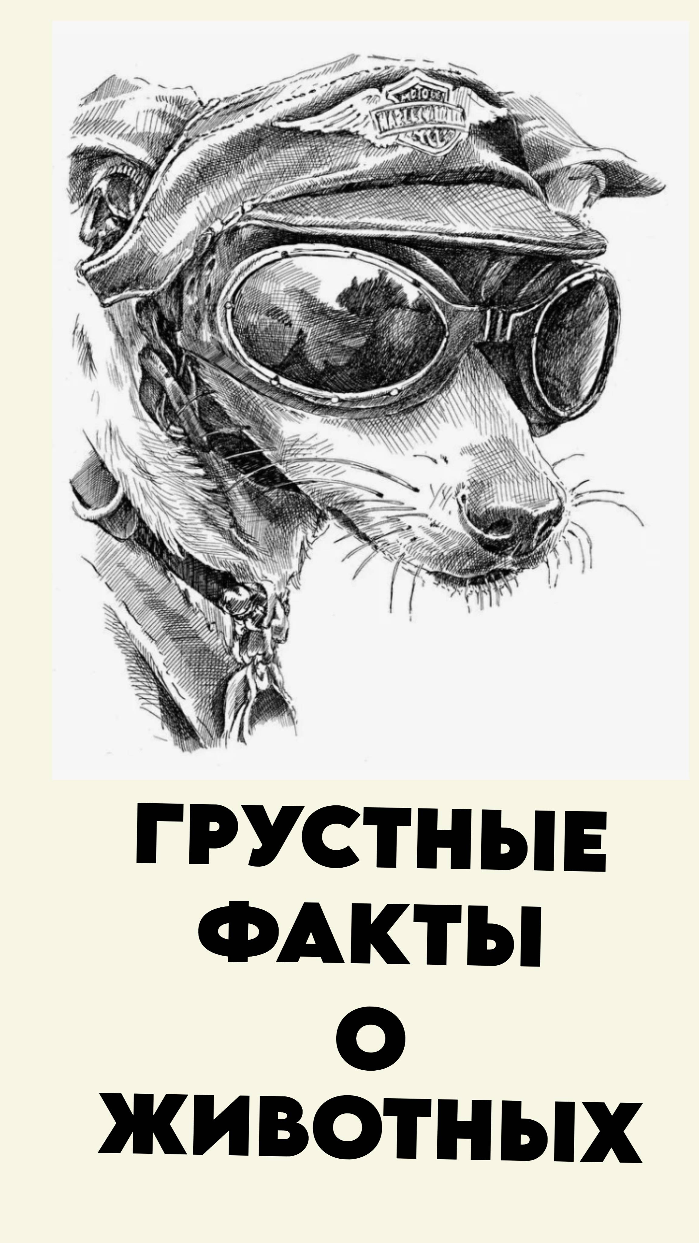 Грустные факты о животных (1)