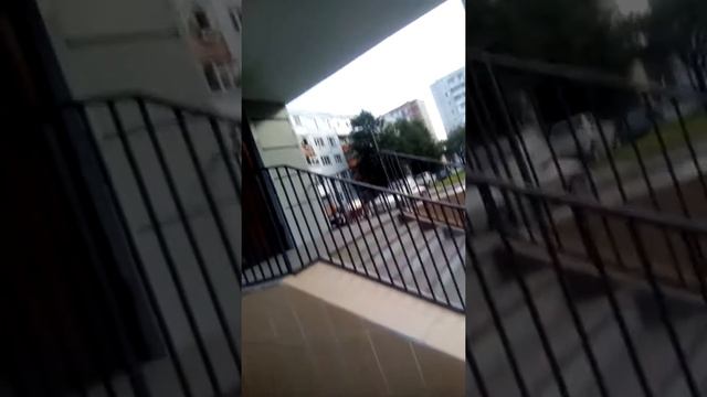 Нелегальный рынок расположен между налоговой и пенсионным .