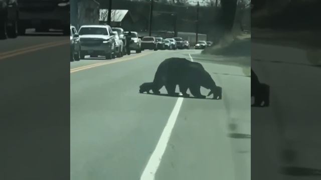 1000023065.mp4