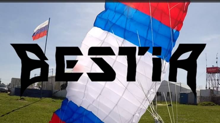 Основной высокоскоростной косонервюрный парашют Бестия (Bestia)