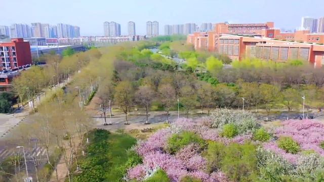 Zhengzhou University