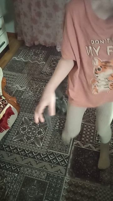 VID_20250304_200904.mp4