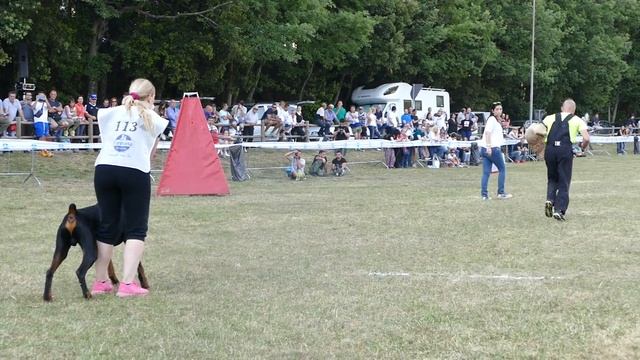 AIAD 2017 - Campionato - Smart Wood Hills Kaiser Konstantin