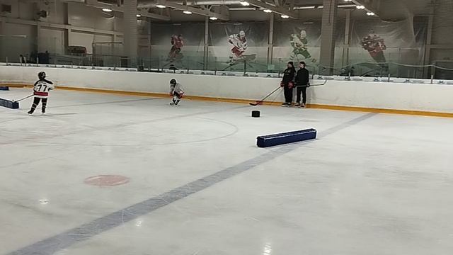 хоккей 🏒 тренировки