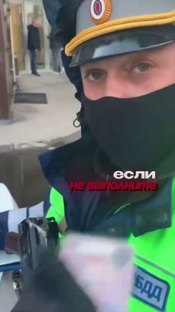VHQ | Можно ли сесть в тюрьму за оклейку авто плёнкой?