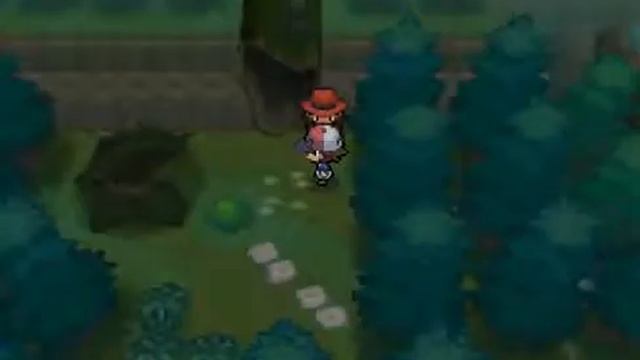 Lets play pokemon Black part 4-Pinwheel forest