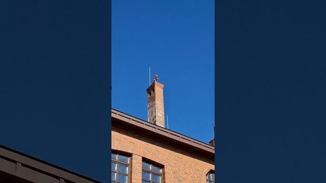 Семейная прогулка по району 8 марта🥰Таисия мама и папа в эфире❤️🔥