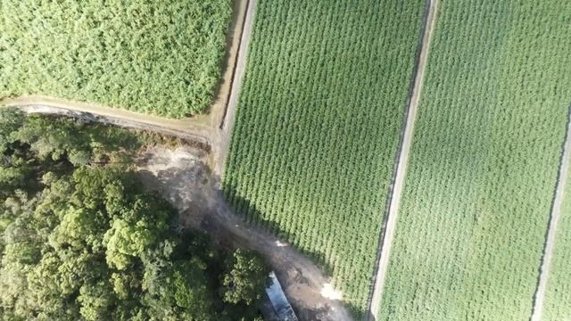 Flying a drone over the Murwillumbah sugarcane fields  and refinery smoke stack.