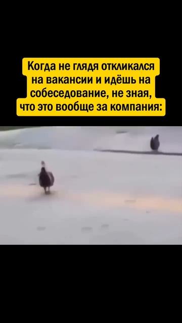 осторожнее ‼️😈