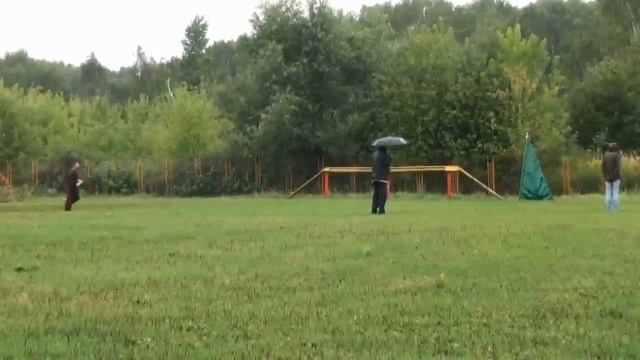 Smart Wood Hills X-Trail