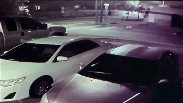Man survives harrowing hit and run in Fort Lauderdale