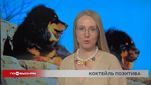 «По весточке»: коктейль позитива