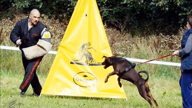 Smart Wood Hills Ohra ZTPV1A (Moscow, 30.08.2014)