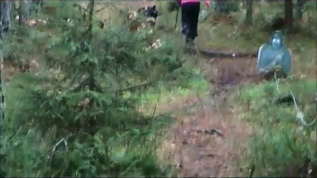 SMART WOOD HILLS KAISER KONSTANTIN at KORAD (Swedish _körung_)