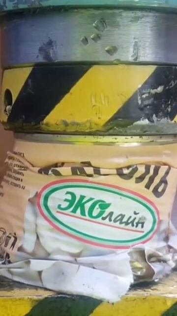 #подмикроскопом #микромир #наука #микроскоп #интересно