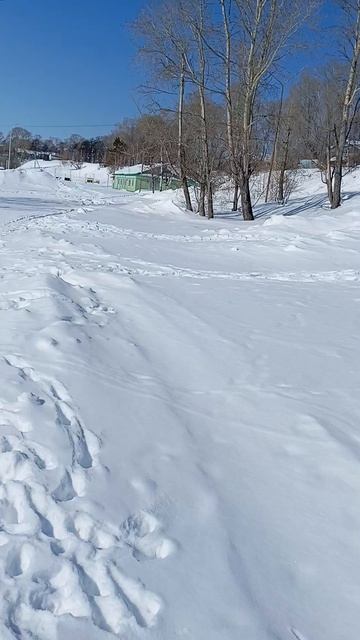 Николаевск-на-Амуре исторический центр городского поселения город