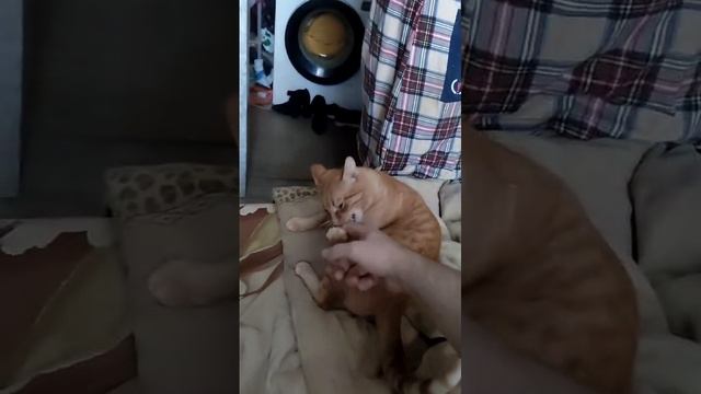 1000004433.mp4