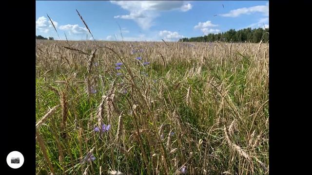 Поездка на квадроцикле (эндуро) из г.Кубинке до Озернинского водохранилище