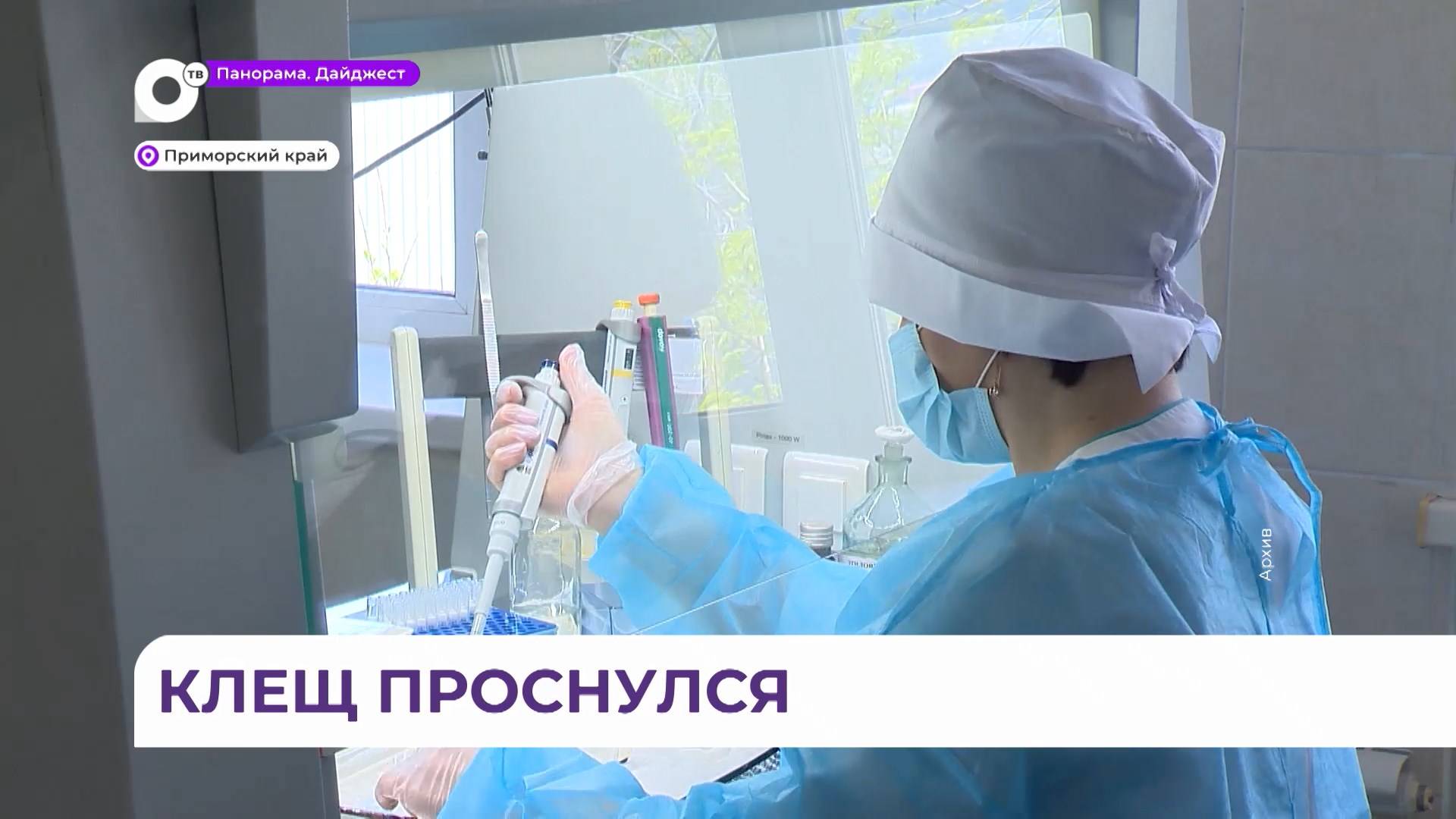 Прививочная кампания против клещевого энцефалита стартовала в Приморье