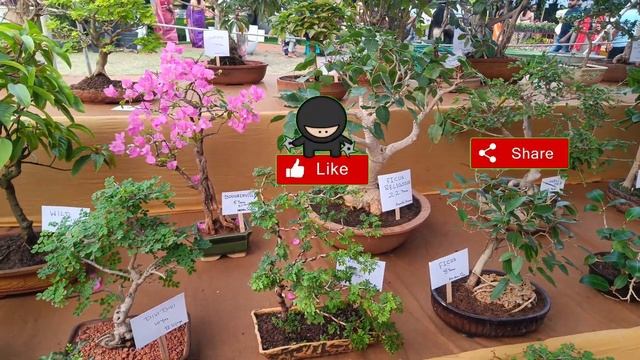 Flower and agriculture exhibition cum sale|| Flower exhibition||Organic products || Home decors ||