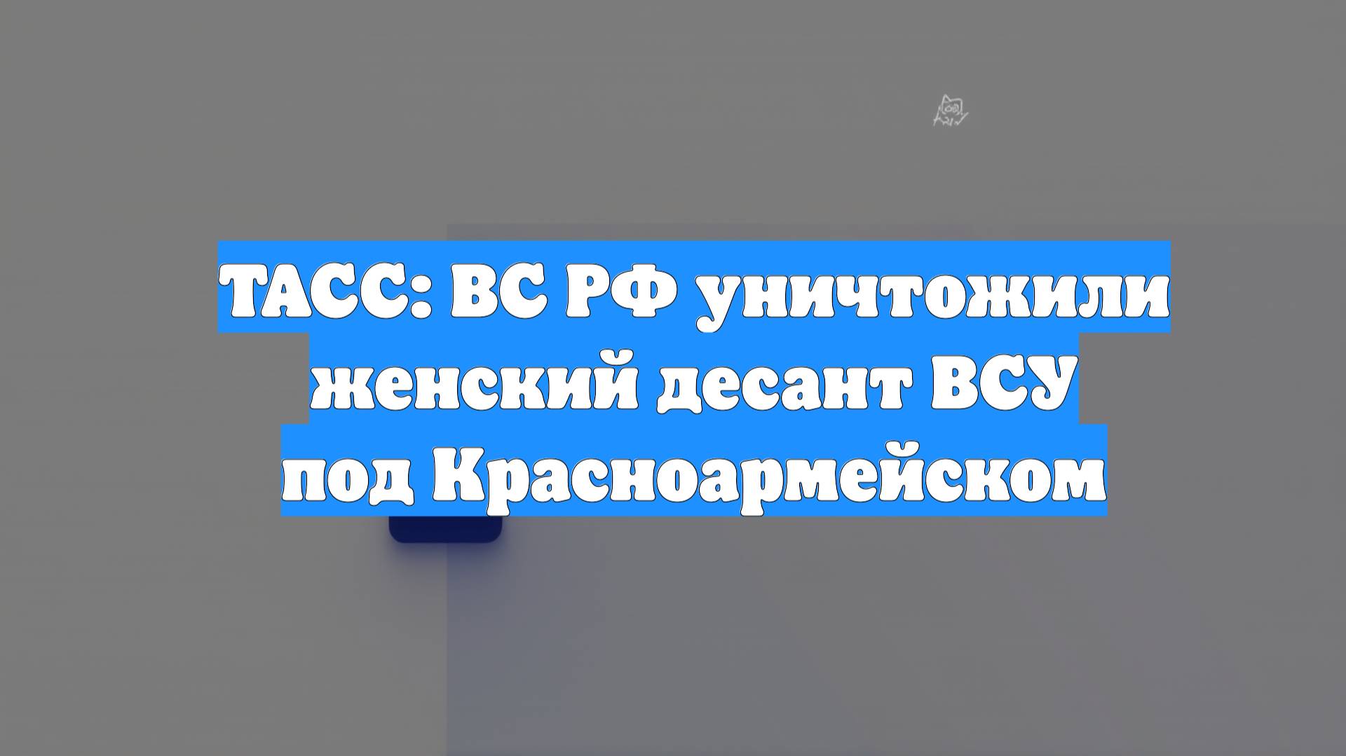 ТАСС: ВС РФ уничтожили женский десант ВСУ под Красноармейском
