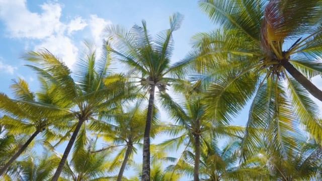 💥ПРОДАМ БАЗУ ОТДЫХА В ГОРОДЕ НАХОДКА💥
📲 8 (4236) 79-78-79