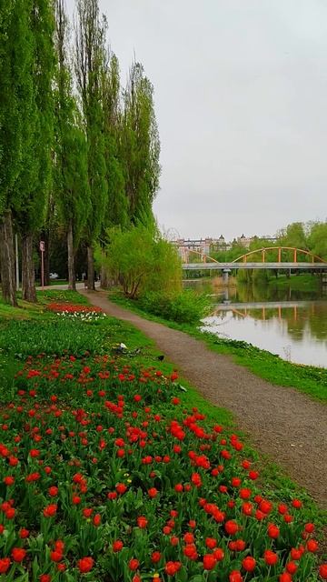 В парке Победы, у реки Везёлка, Белгород