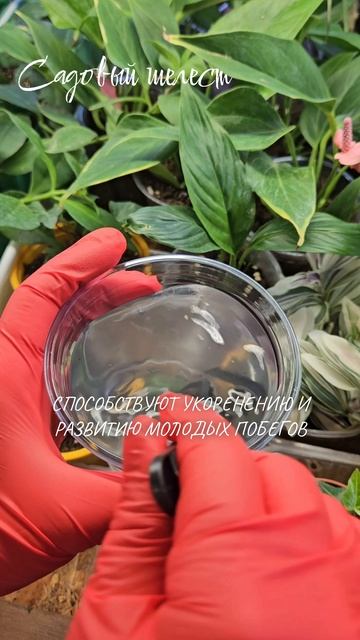 Польза минерального удобрения 🌿 Монокалийфосфат