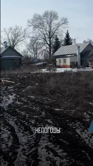 Шелтер для лошадей